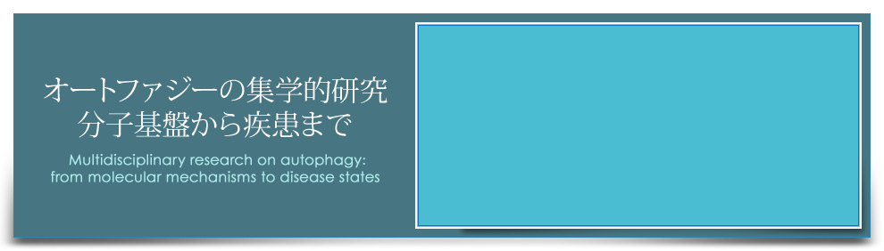 オートファジーの集学的研究：分子基盤から疾患まで（Multidisciplinary research on autophagy: from molecular mechanisms to disease states）