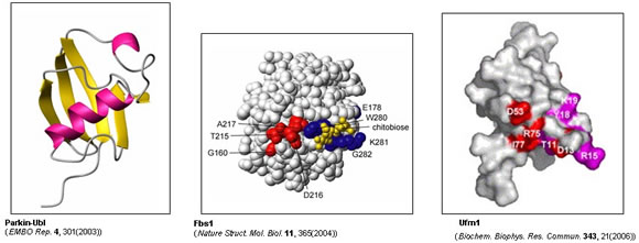 }F(2) rL`K[[Ƃ̋@\̍\w
