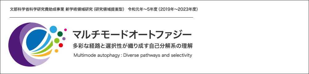 文部科学省科学研究費助成事業 新学術領域研究（研究領域提案型） 令和元年～5年度（2019年～2023年度） マルチモードオートファジー：多彩な経路と選択性が織り成す自己分解系の理解