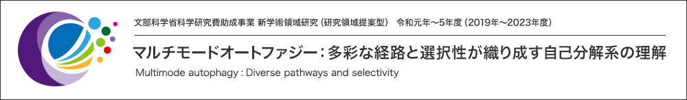 文部科学省科学研究費助成事業 新学術領域研究（研究領域提案型） 令和元年～5年度（2019年～2023年度） マルチモードオートファジー：多彩な経路と選択性が織り成す自己分解系の理解